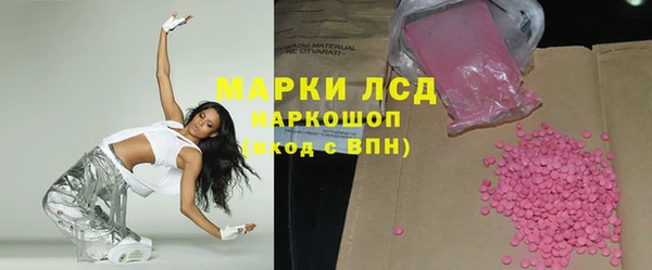 ГАЛЛЮЦИНОГЕННЫЕ ГРИБЫ Сосновка