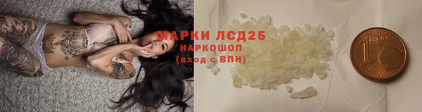 гашик Сосновый Бор