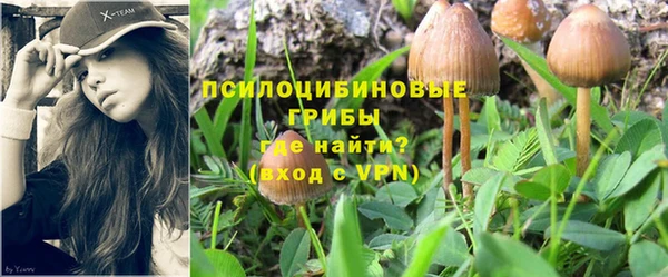MESCALINE Аркадак