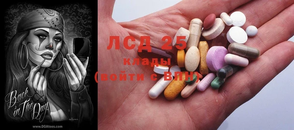 ГАЛЛЮЦИНОГЕННЫЕ ГРИБЫ Сосновка